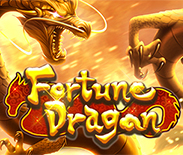 Fortune Dragon